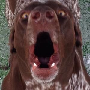 Meet your Posher, Jeff